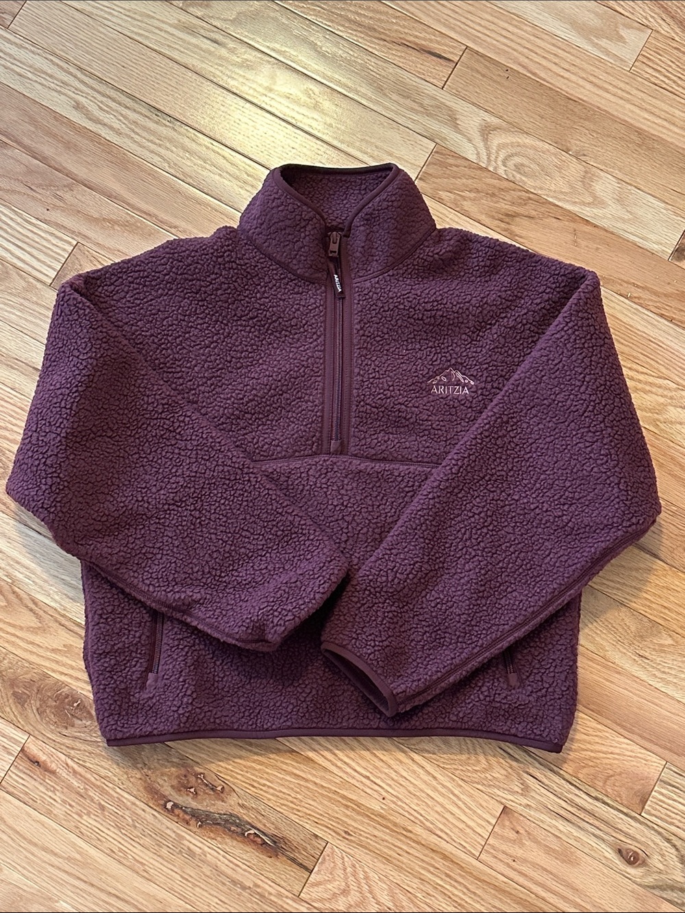 Aritzia Polartec Thermal Pro Highlands Mockneck